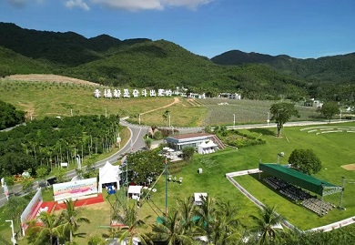 Swing competition venue surrounded by greenery