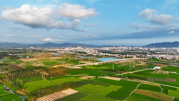 Sanya leads in tropical high-efficiency agricultural innovation