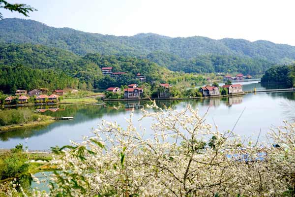 Jianfengling National Forest Park in Ledong, Hainan. [Photo/Hainan Tropical Rainforest National Park official website]